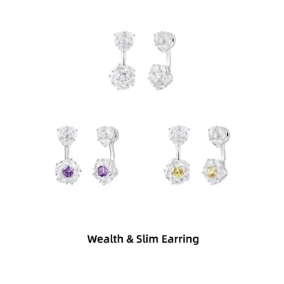 abyb Charming Wealth & Slim Earring - Image 8