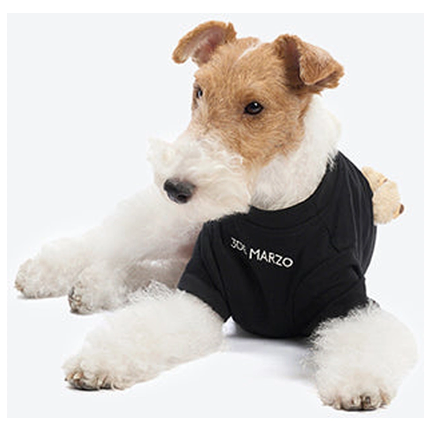 13DE MARZO Allover Bear Pet Tee Black front view
