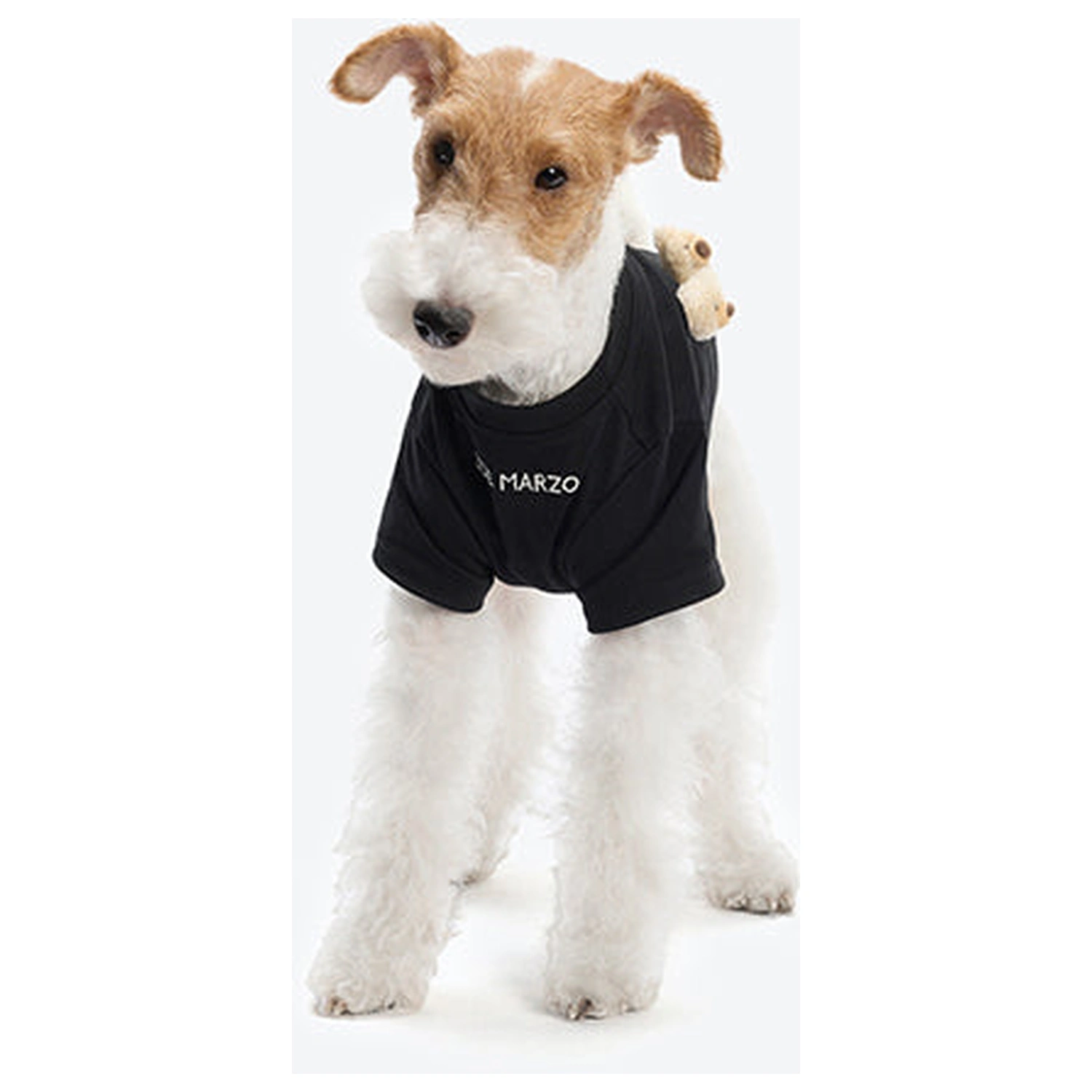 13DE MARZO Allover Bear Pet Tee Black detail view